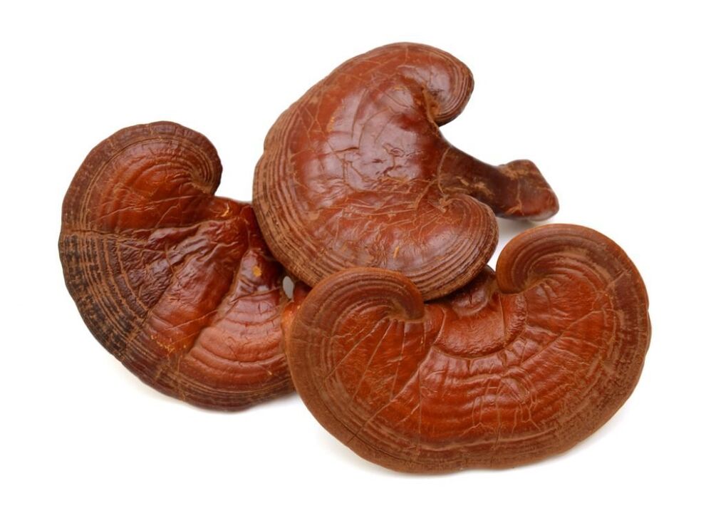 Reishi mushrooms in prostamine capsules